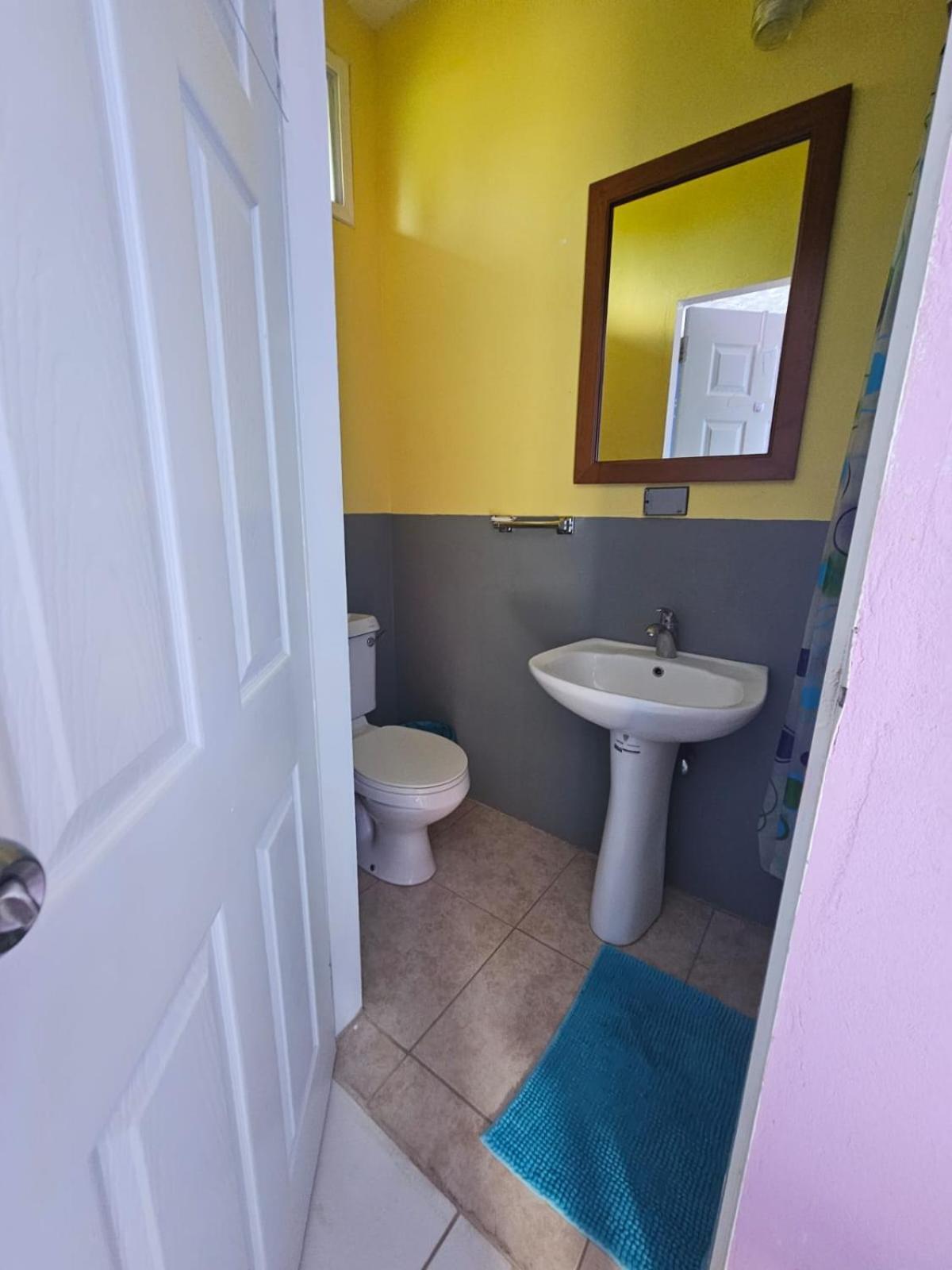 Fish Tobago Guesthouse Or Joy And Brandon Guesthouse Buccoo Стая снимка