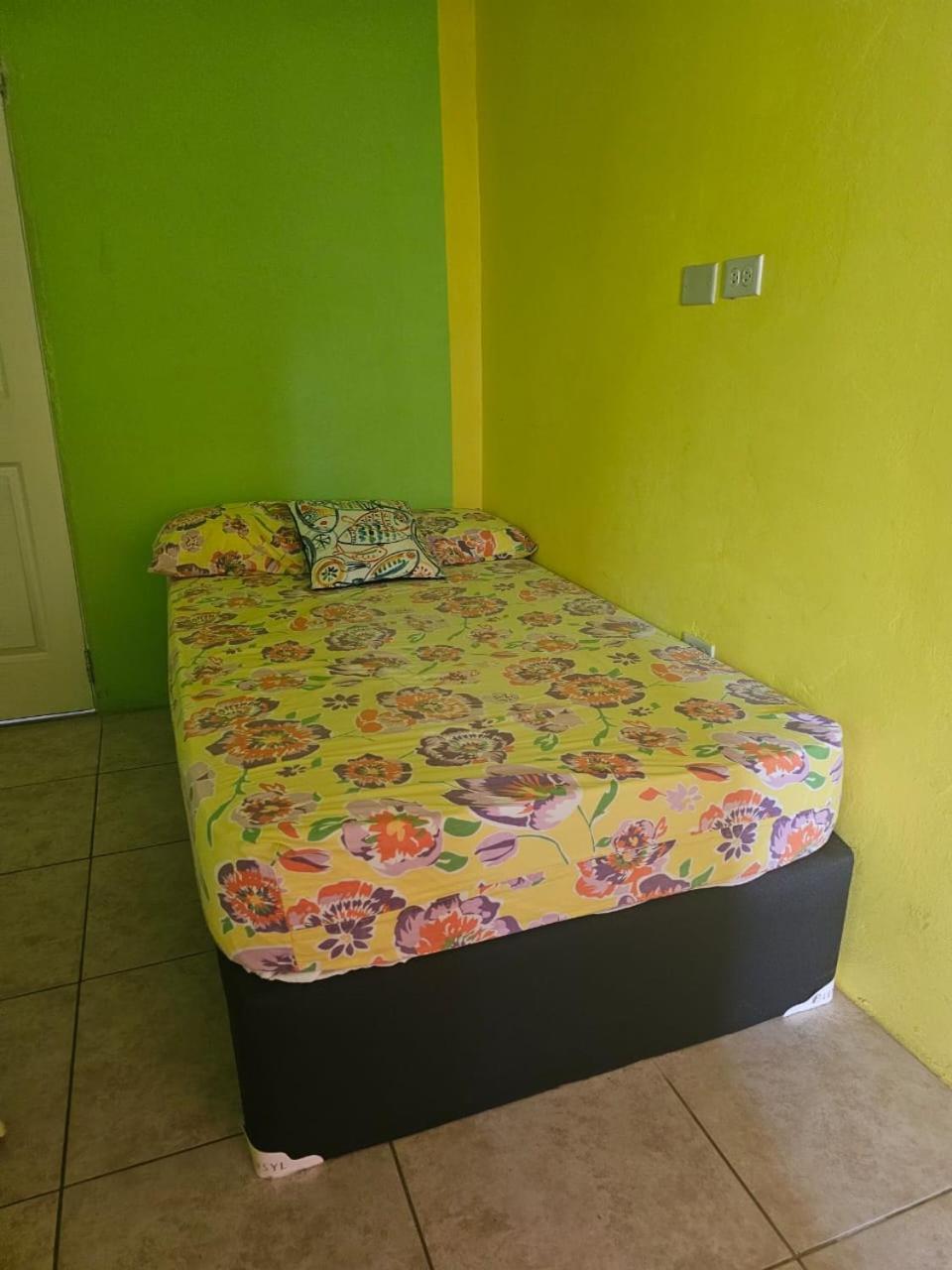 Fish Tobago Guesthouse Or Joy And Brandon Guesthouse Buccoo Стая снимка